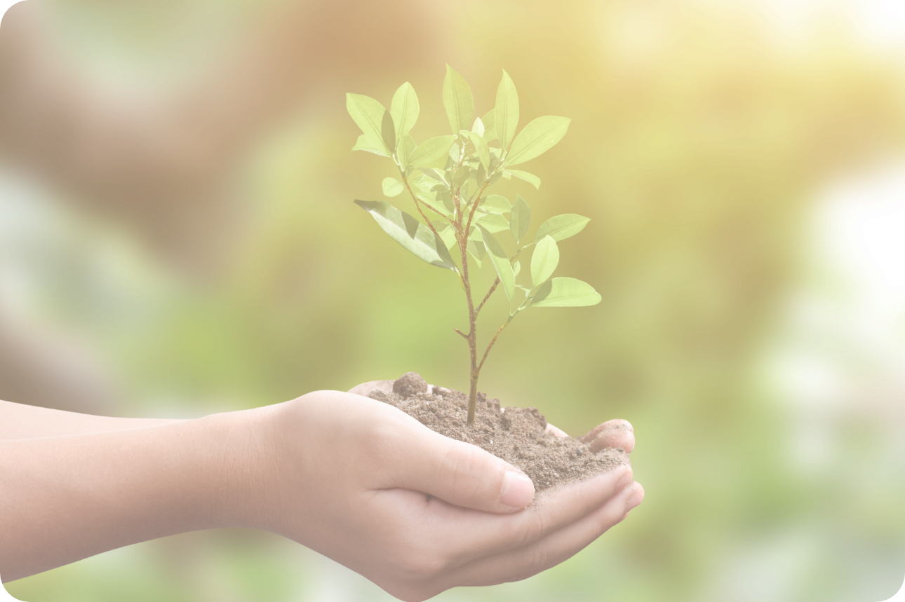 Comprometidos con el medio ambiente