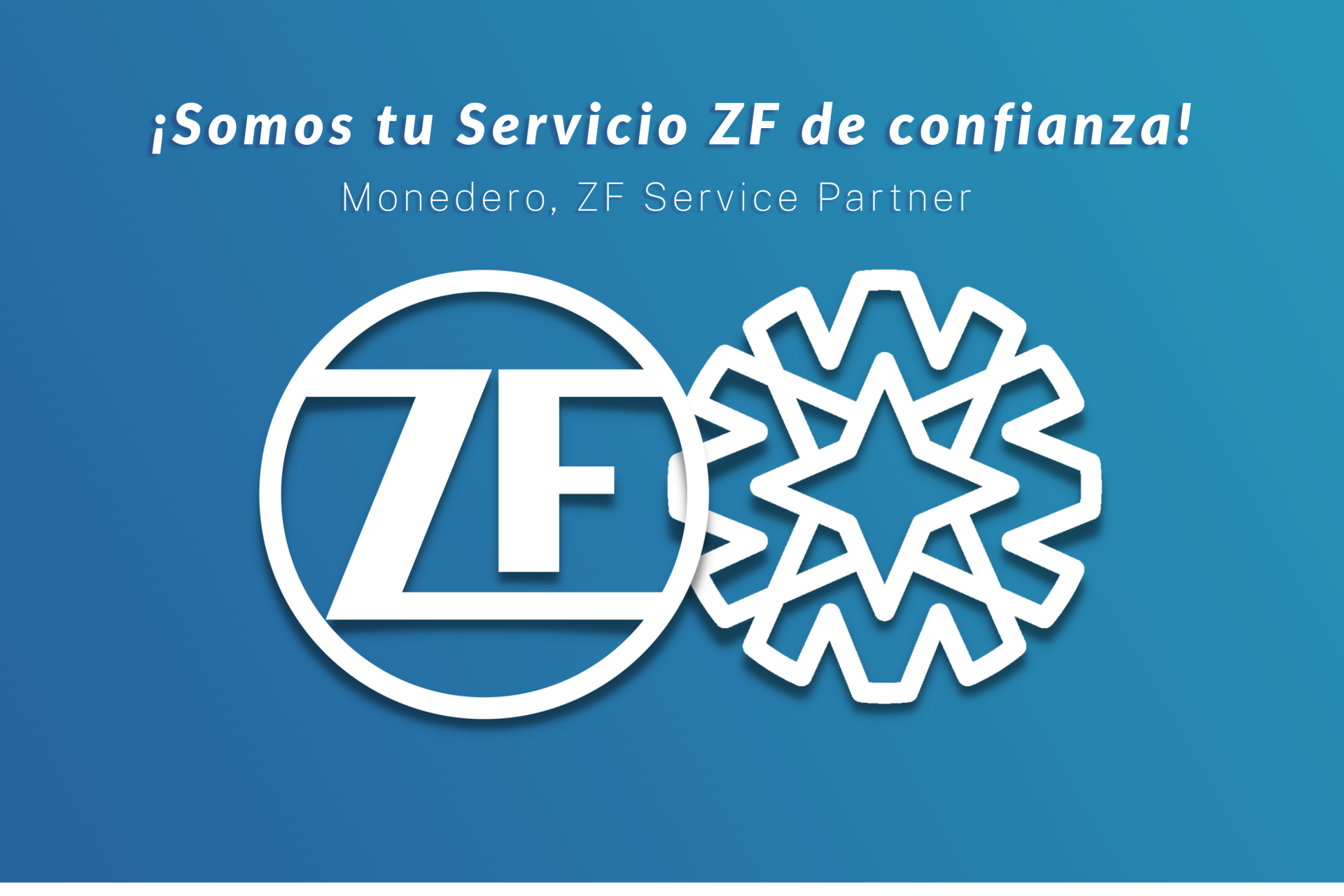 Monedero, ZF Service Partner